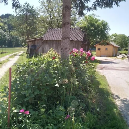 Sobe Zeleni Raj Podnart